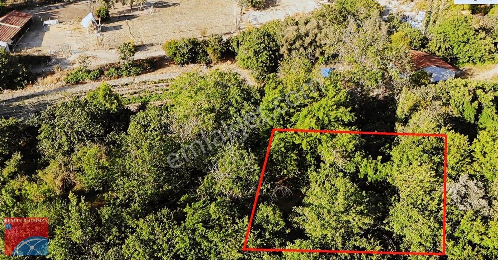 Bilecik Söğüt 352 M2 Yatırımlık Köy İçi Bahçe - Görsel 11