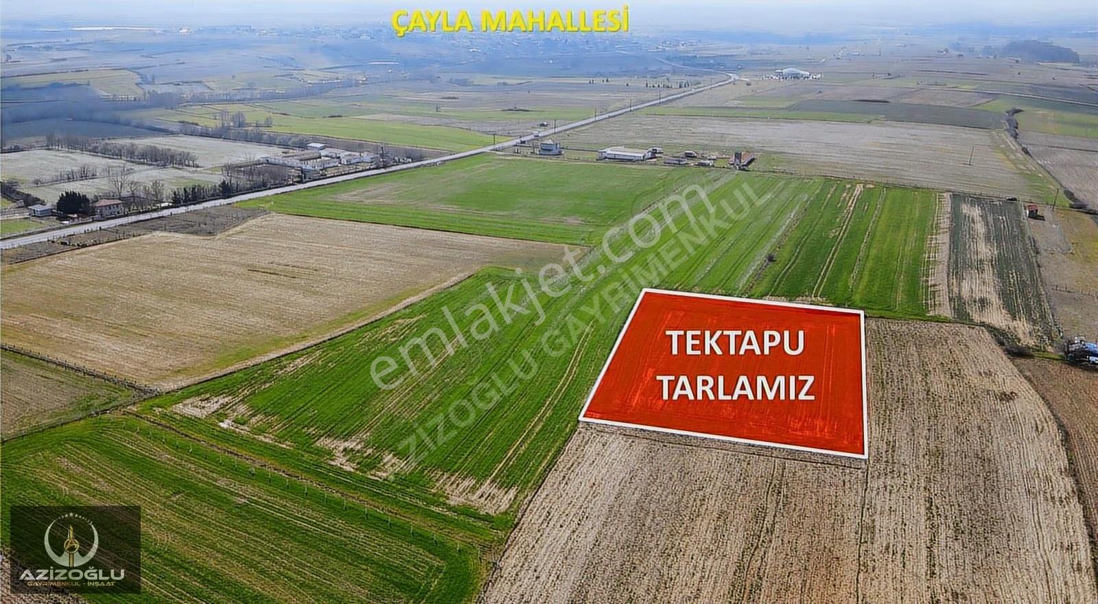 Saray Merkeze 3km Mesafede Satılık 4.835m² Tektapu Tarla - Görsel 12