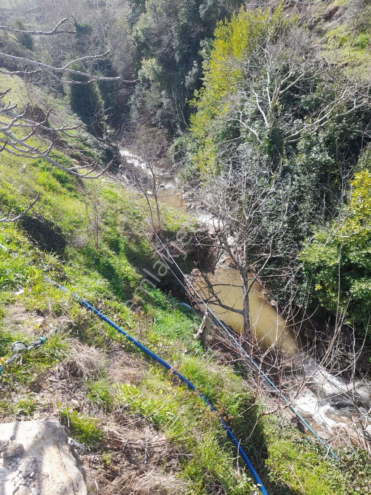 Satılık İncir Bahcesi - Görsel 10