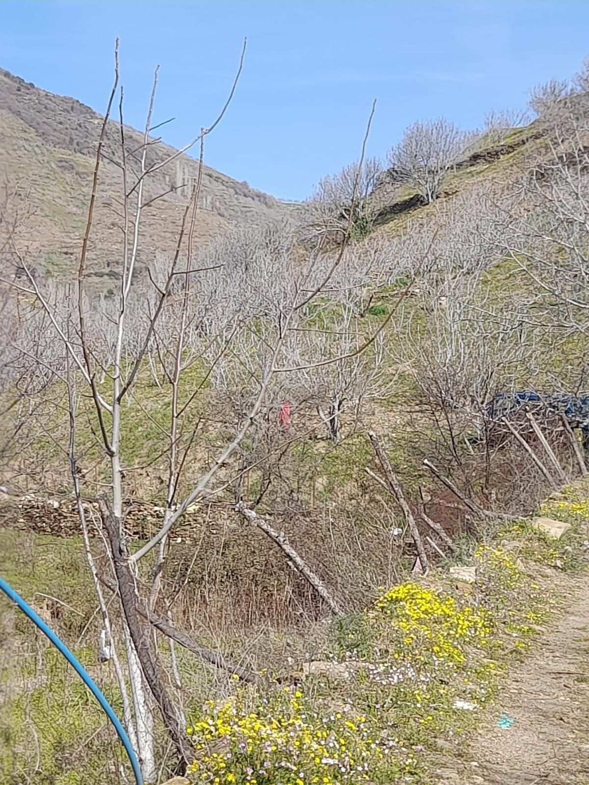 Satılık İncir Bahcesi - Görsel 3