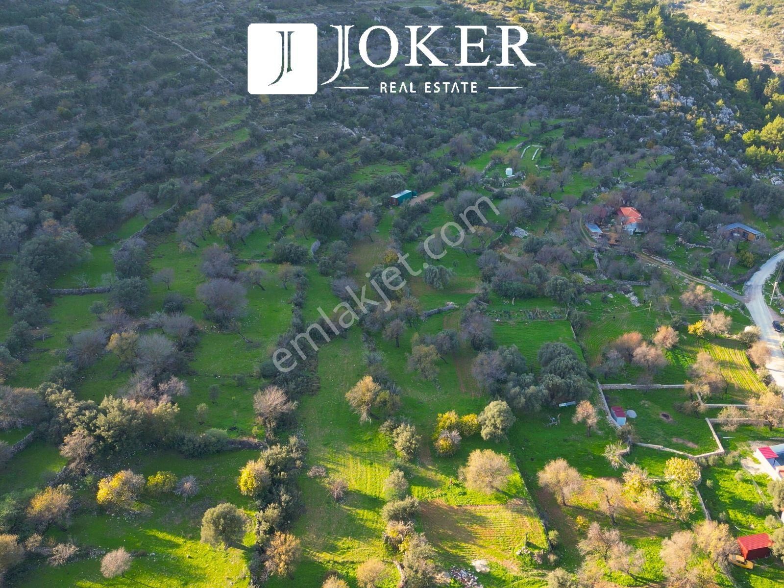 Joker: Marmaris Söğüt Evlere Komşu Konumda Tarla - Görsel 8