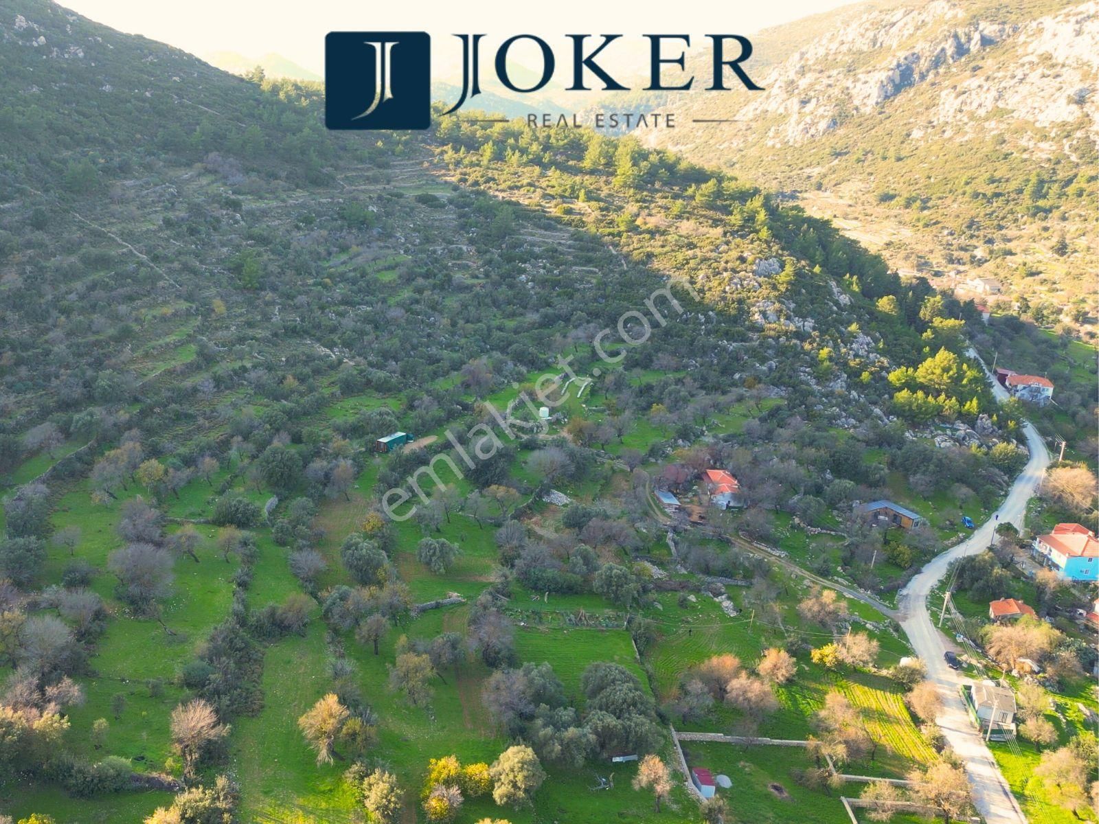 Joker: Marmaris Söğüt Evlere Komşu Konumda Tarla - Görsel 5