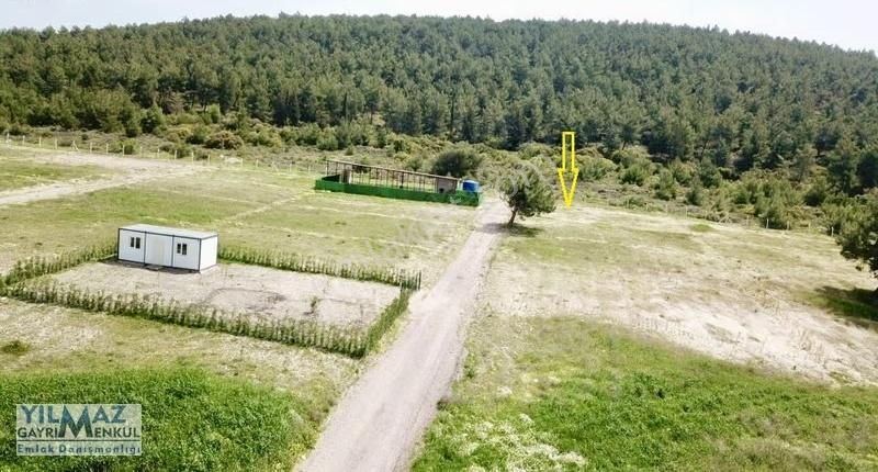 Samurlu'da Resmi Yolu Ve Suyu Olan Satılık Tarla