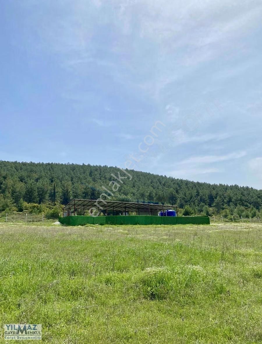 Samurlu'da Resmi Yolu Ve Suyu Olan Satılık Tarla - Görsel 16