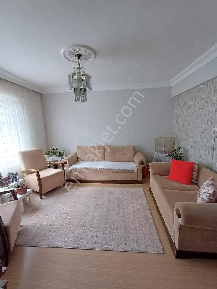 Samsun İlkadım Kökçüoğlu Mahallesi'nde - Görsel 5