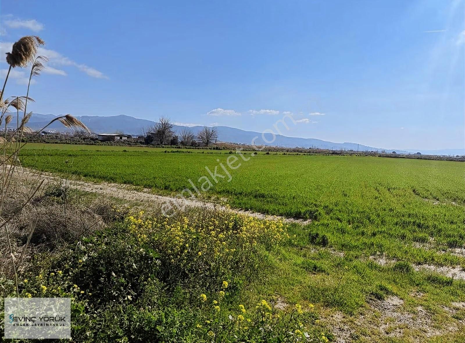 Menemen - Maltepe Yolu Üzeri 31.907 M² Dev Parsel - Görsel 5