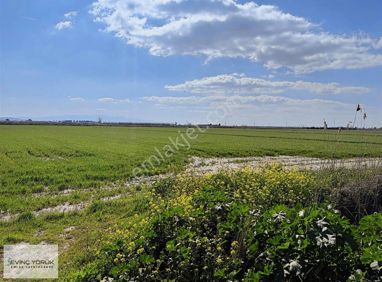 Menemen - Maltepe Yolu Üzeri 31.907 M² Dev Parsel - Görsel 3