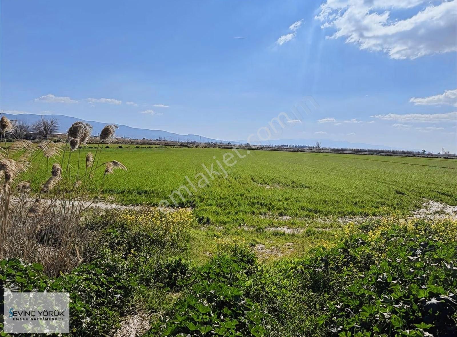 Menemen - Maltepe Yolu Üzeri 31.907 M² Dev Parsel - Görsel 16