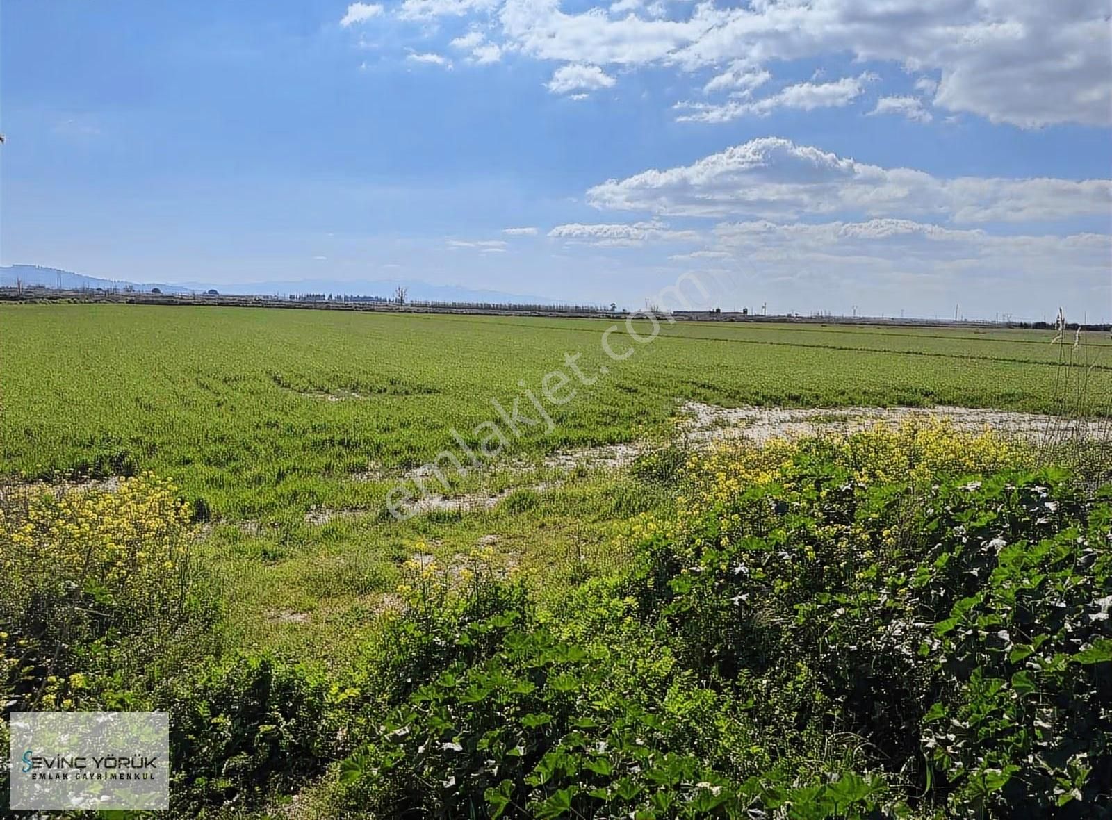 Menemen - Maltepe Yolu Üzeri 31.907 M² Dev Parsel - Görsel 20
