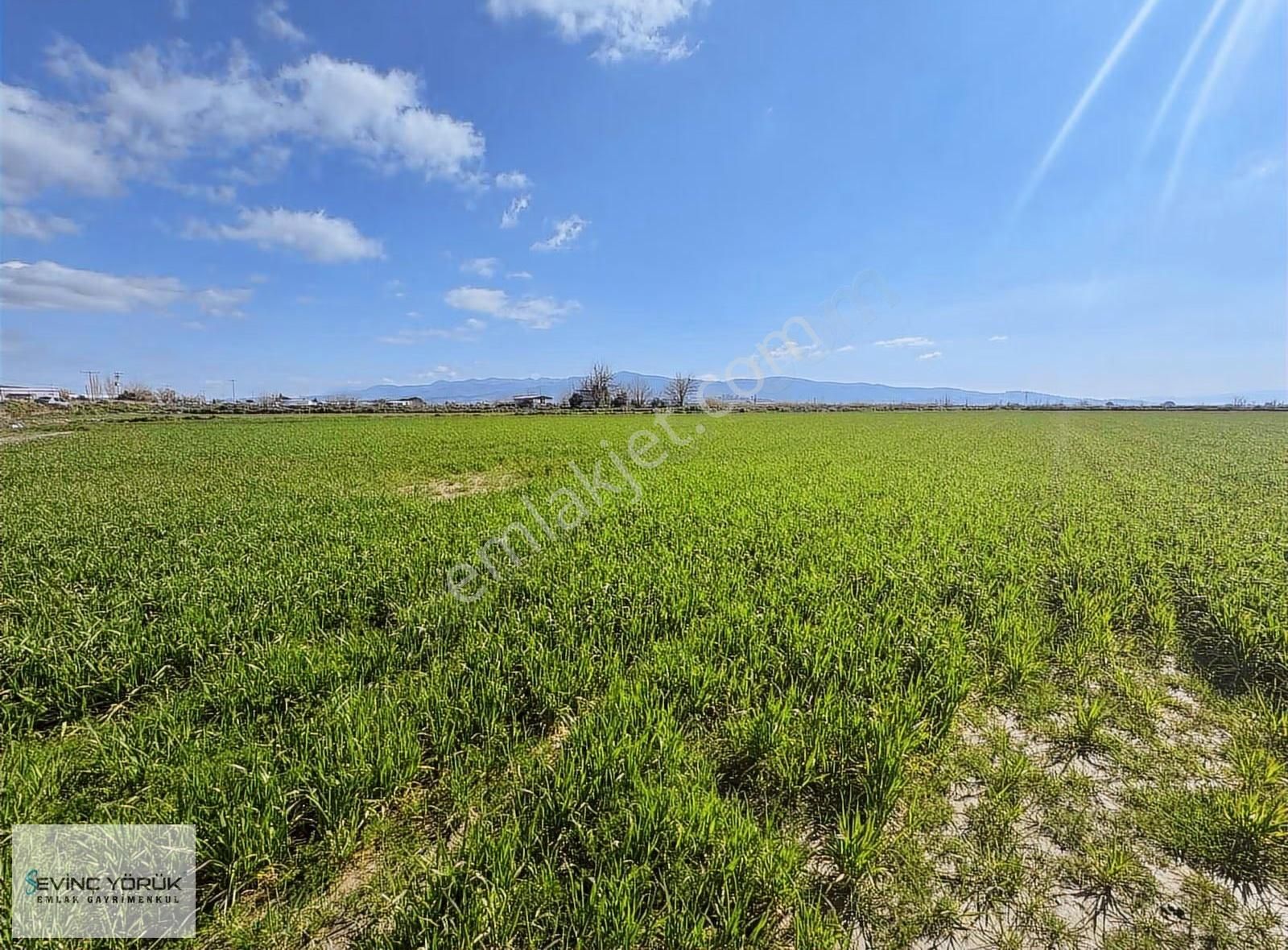 Menemen - Maltepe Yolu Üzeri 31.907 M² Dev Parsel - Görsel 7
