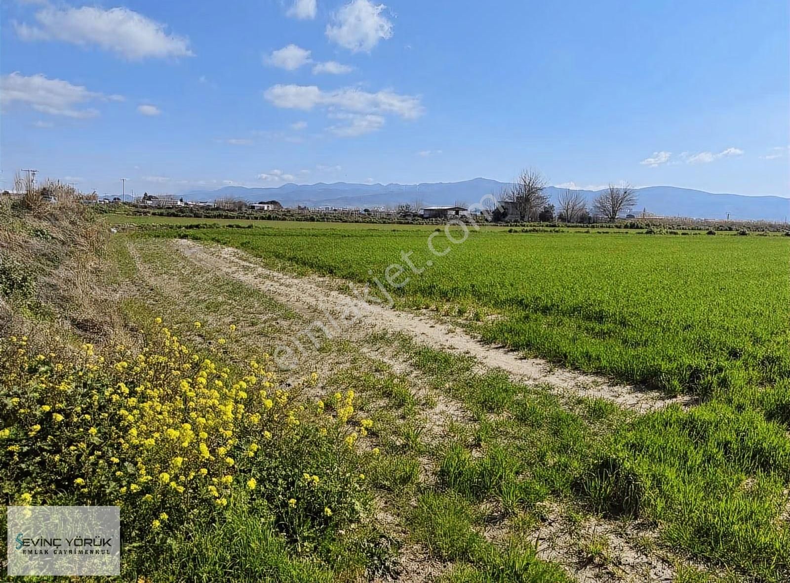 Menemen - Maltepe Yolu Üzeri 31.907 M² Dev Parsel - Görsel 14