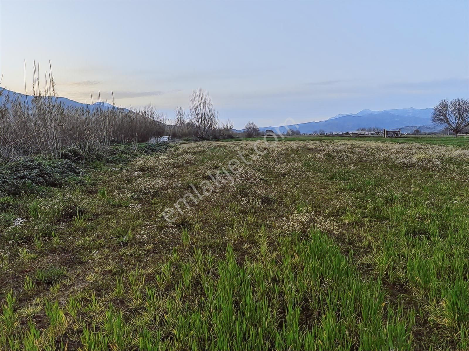 Doğadan Selimiye Merkezde Asfalta Cephe Yapı Koymaya Uygun Arazi - Görsel 6