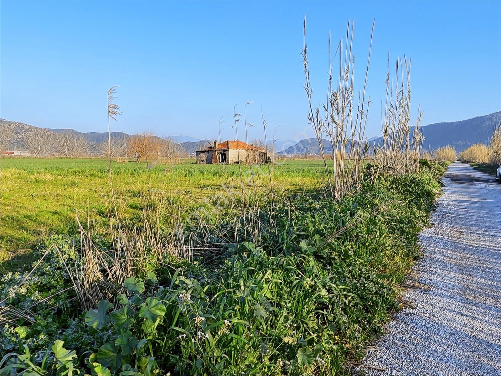 Doğadan Selimiye Merkezde Asfalta Cephe Yapı Koymaya Uygun Arazi - Görsel 2