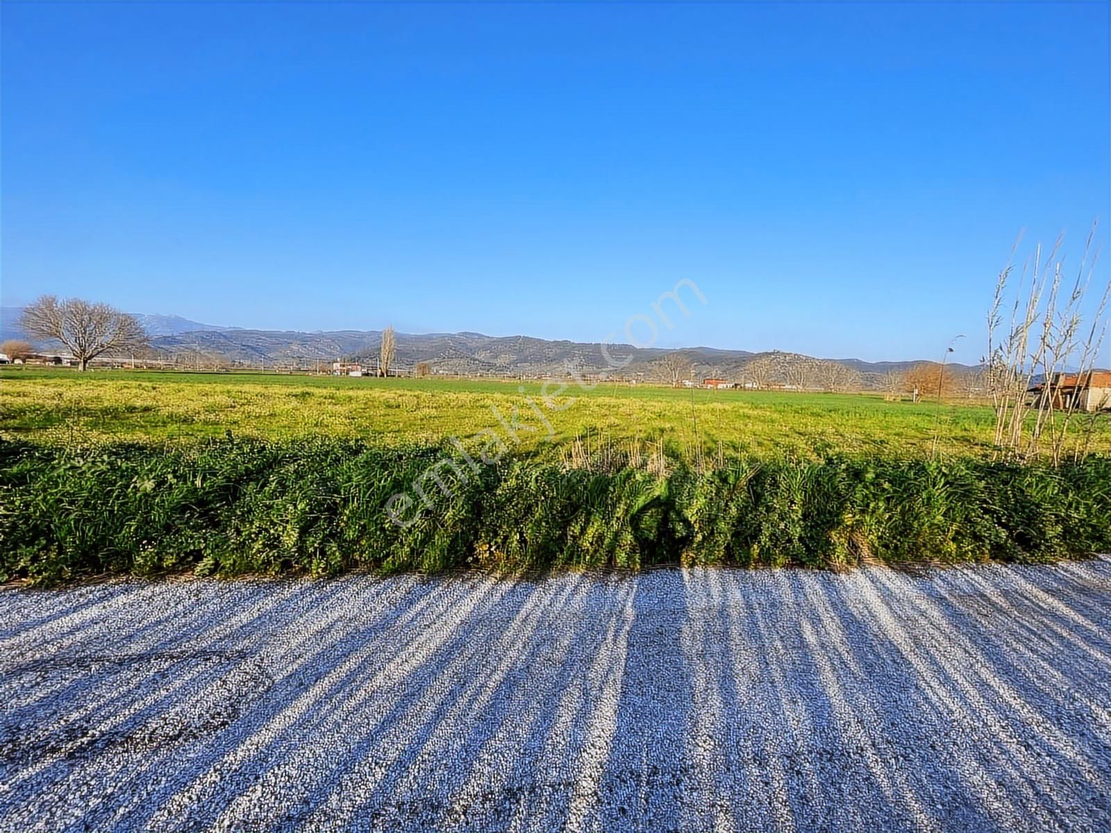 Doğadan Selimiye Merkezde Asfalta Cephe Yapı Koymaya Uygun Arazi - Görsel 20