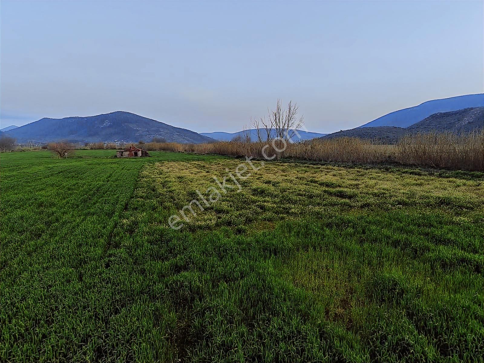 Doğadan Selimiye Merkezde Asfalta Cephe Yapı Koymaya Uygun Arazi - Görsel 26