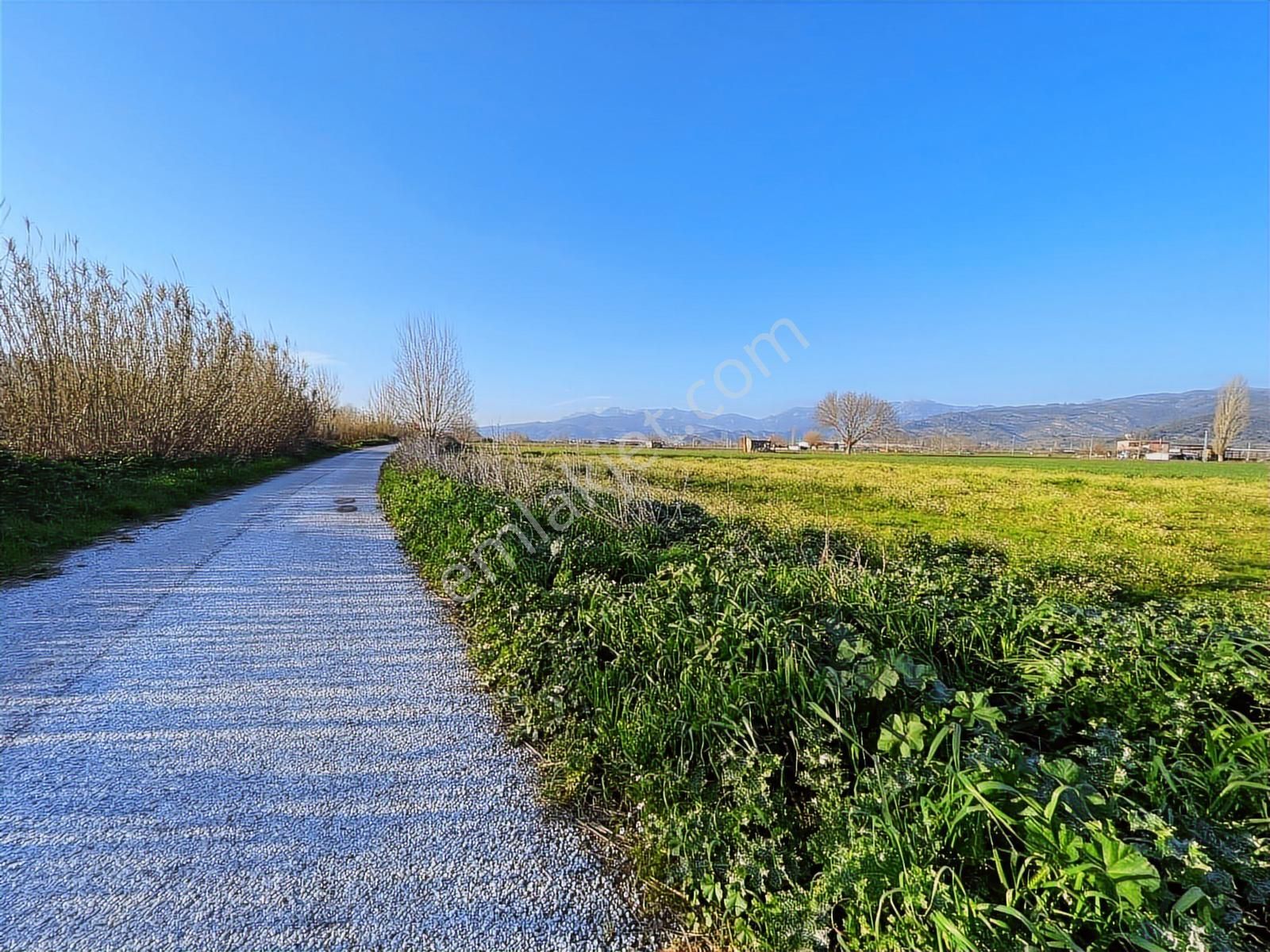 Doğadan Selimiye Merkezde Asfalta Cephe Yapı Koymaya Uygun Arazi - Görsel 17