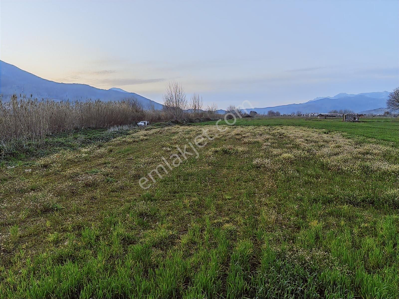 Doğadan Selimiye Merkezde Asfalta Cephe Yapı Koymaya Uygun Arazi - Görsel 7