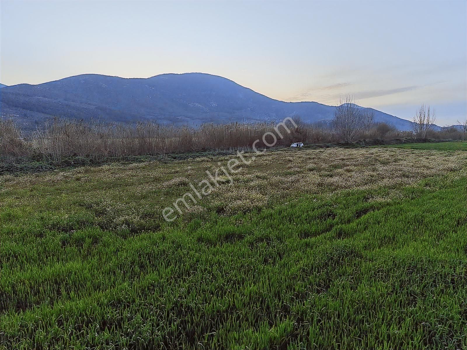 Doğadan Selimiye Merkezde Asfalta Cephe Yapı Koymaya Uygun Arazi - Görsel 9