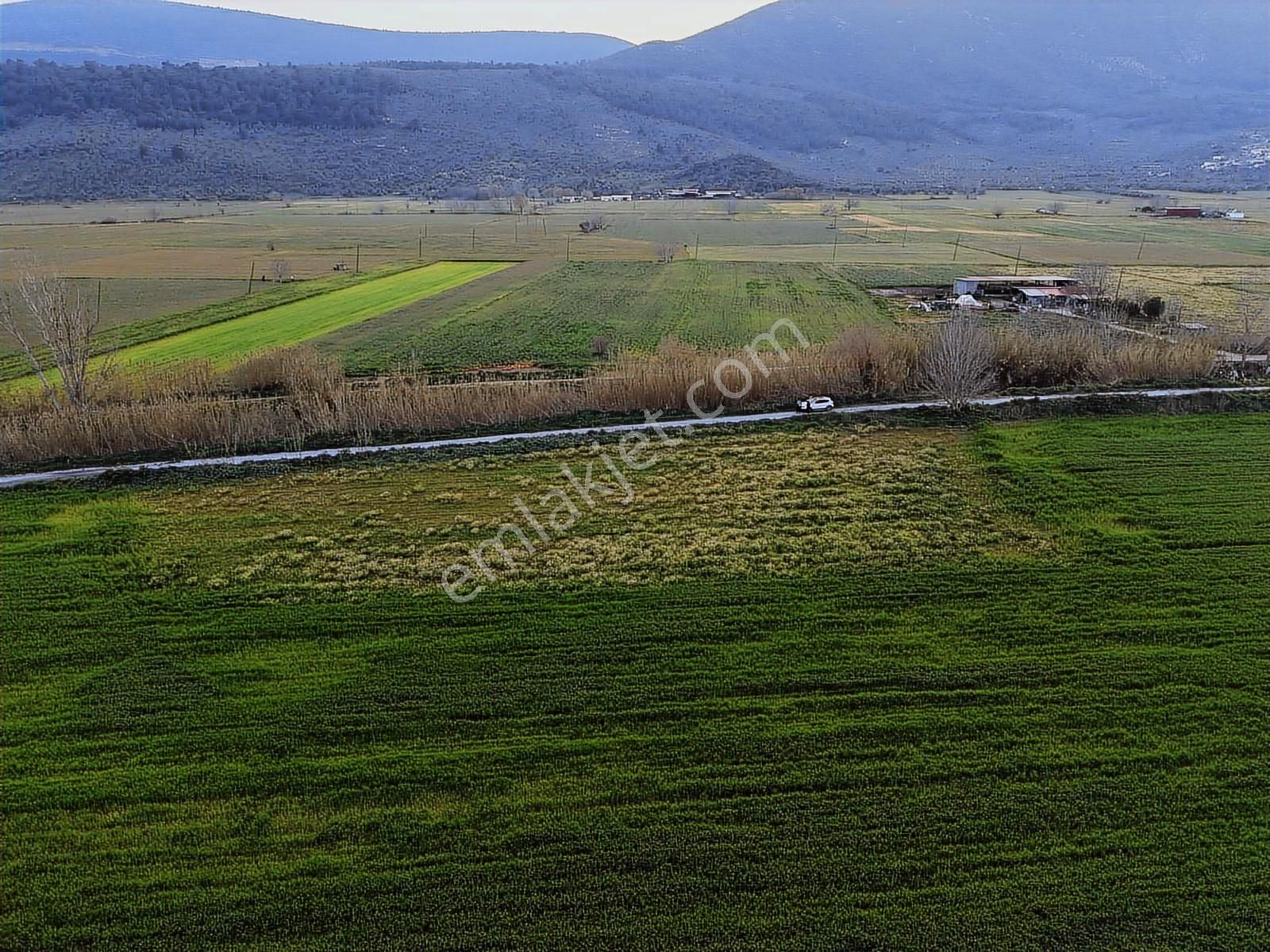 Doğadan Selimiye Merkezde Asfalta Cephe Yapı Koymaya Uygun Arazi - Görsel 24