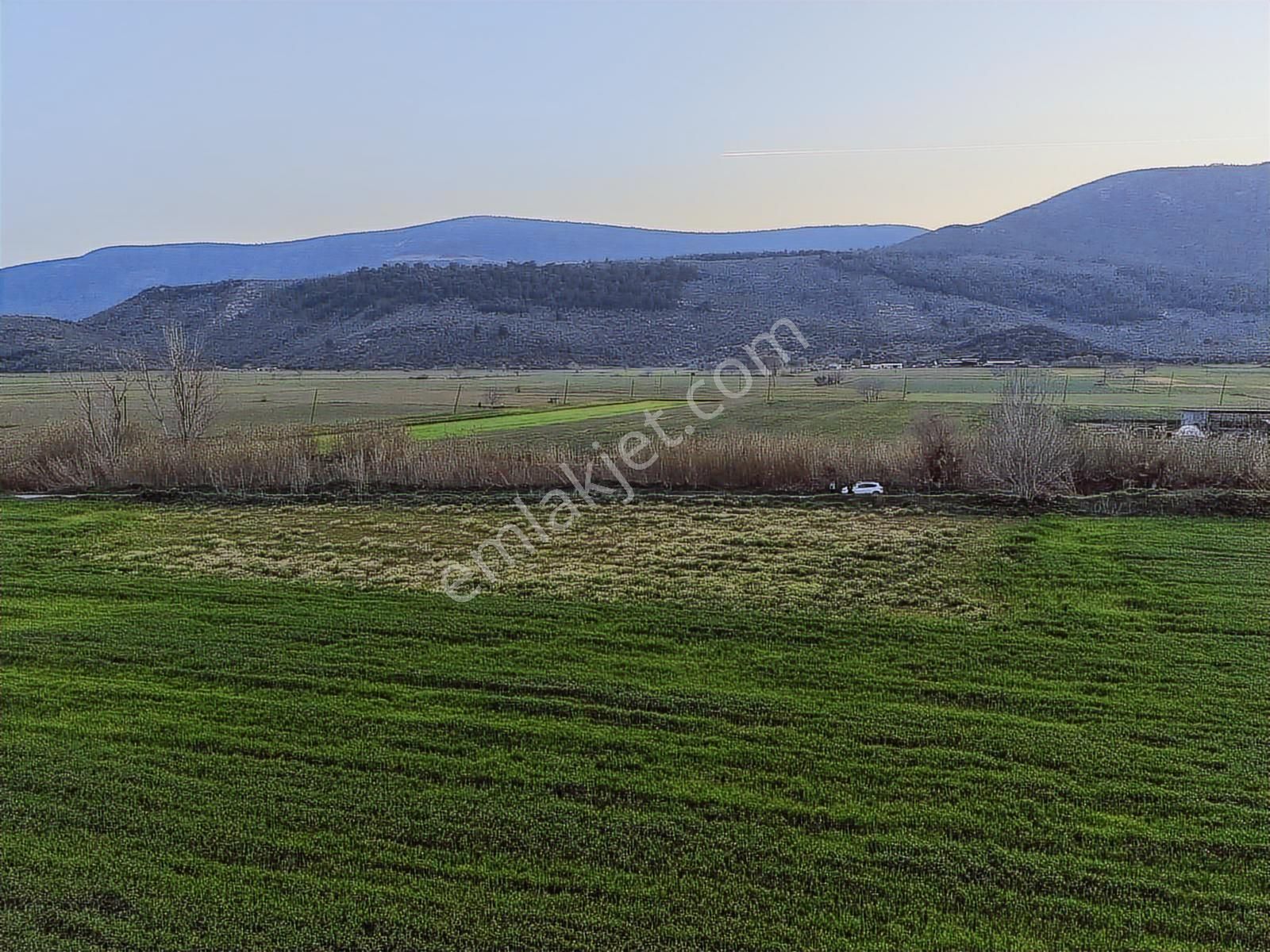 Doğadan Selimiye Merkezde Asfalta Cephe Yapı Koymaya Uygun Arazi - Görsel 14