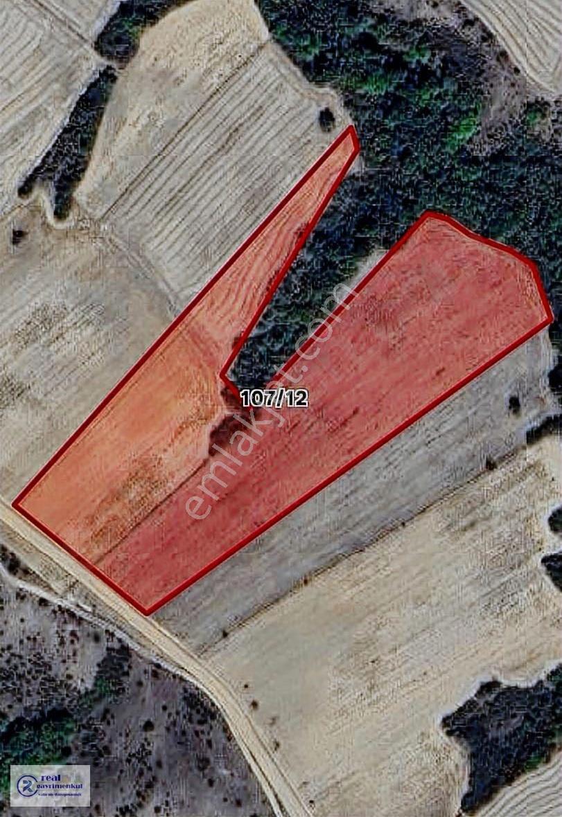 Uzunköprü Sazlımalkoç Köyü 31.223 M2 Yatırımlık Fırsat Arazi - Görsel 4