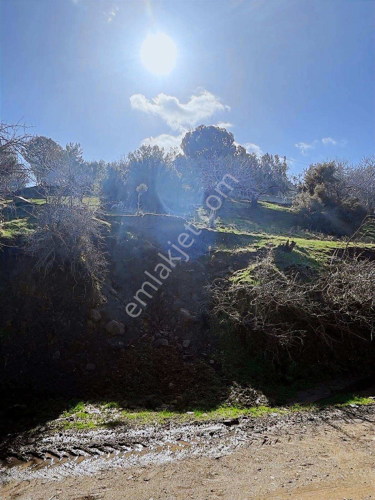 Ayvalıkta Doğayla İç İçe Deniz Manzaralı Bir Yaşam - Görsel 11
