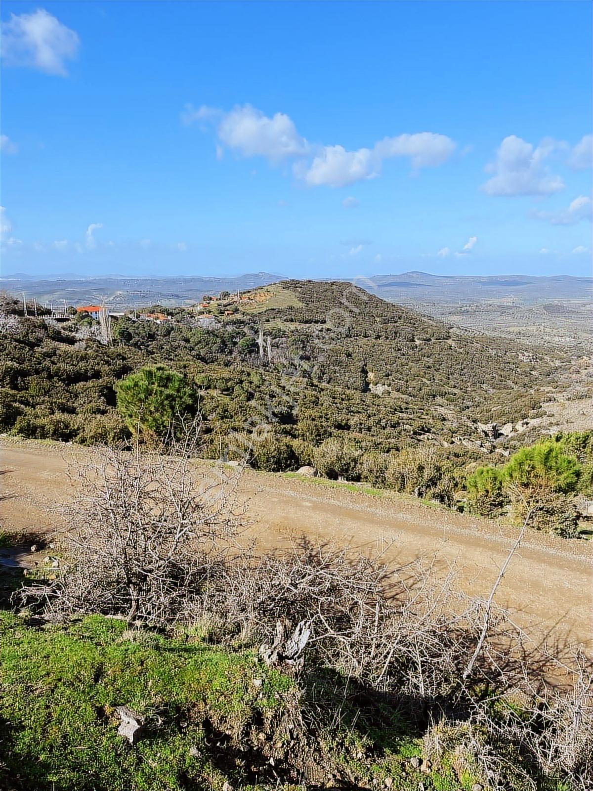 Ayvalıkta Doğayla İç İçe Deniz Manzaralı Bir Yaşam - Görsel 3