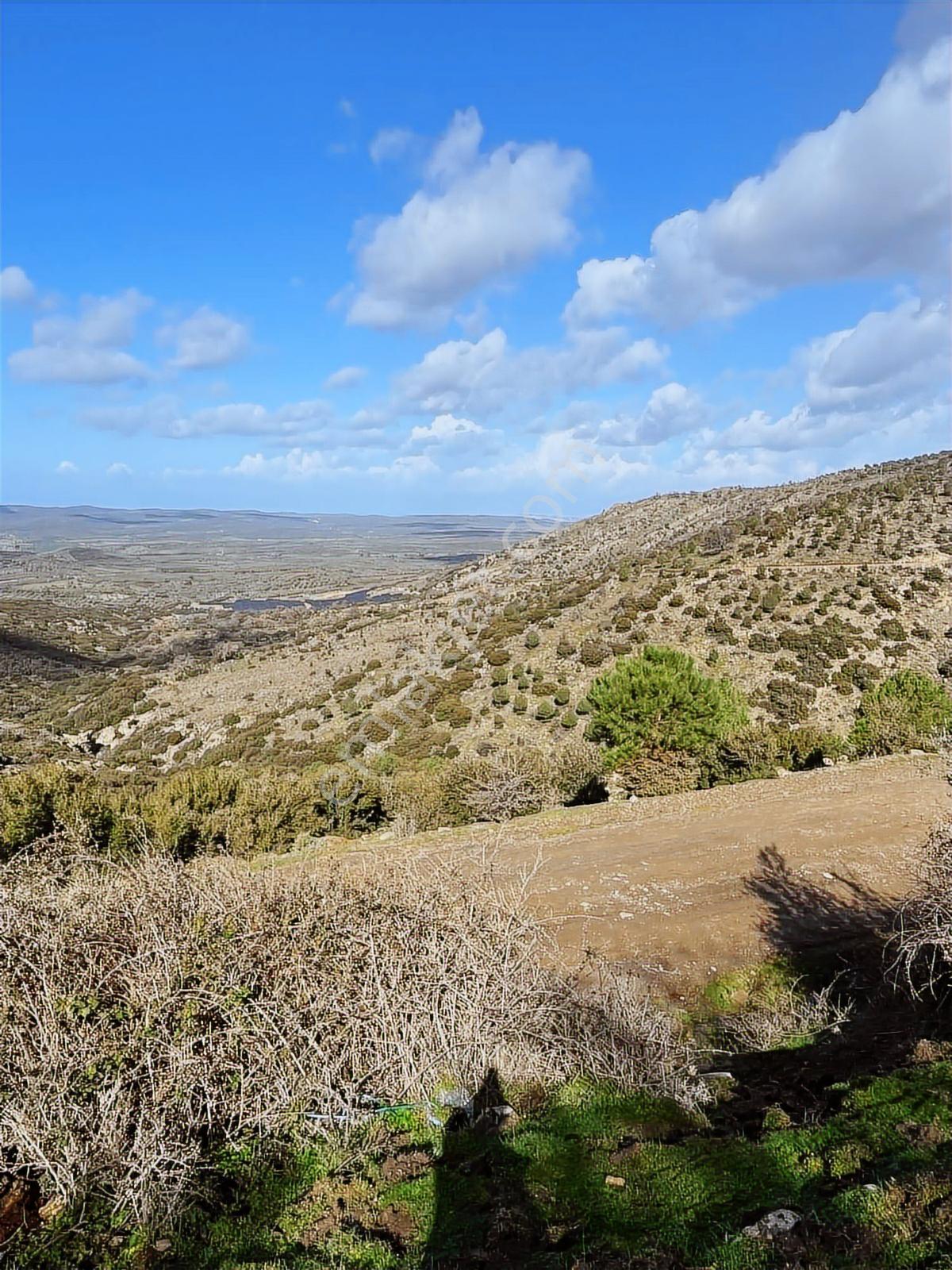Ayvalıkta Doğayla İç İçe Deniz Manzaralı Bir Yaşam - Görsel 6