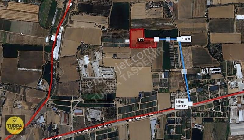 Ödemiş Yeniceköy Mh. Verimli Toprağa Sahip 6.000m² Satılık Tarla