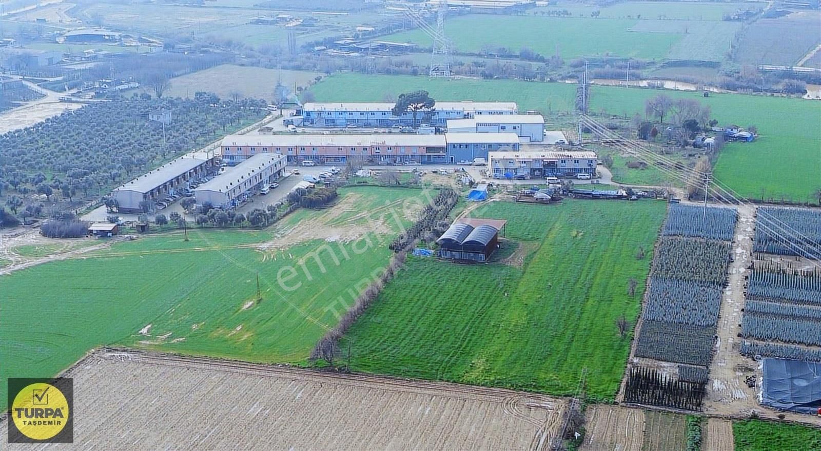 Ödemiş Yeniceköy Mh. Verimli Toprağa Sahip 6.000m² Satılık Tarla - Görsel 5