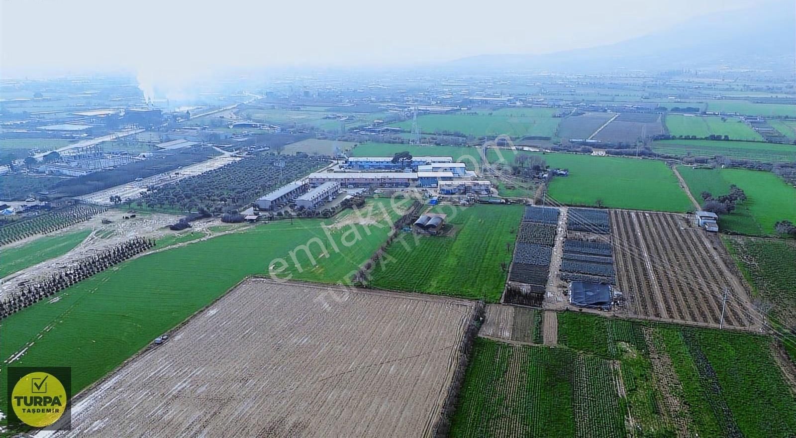 Ödemiş Yeniceköy Mh. Verimli Toprağa Sahip 6.000m² Satılık Tarla - Görsel 2