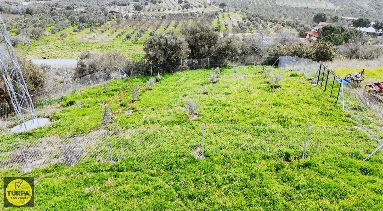 Torbalı Saipler'de Köyiçi İmar Dibinde Satılık 545 M² Tarla - Görsel 10