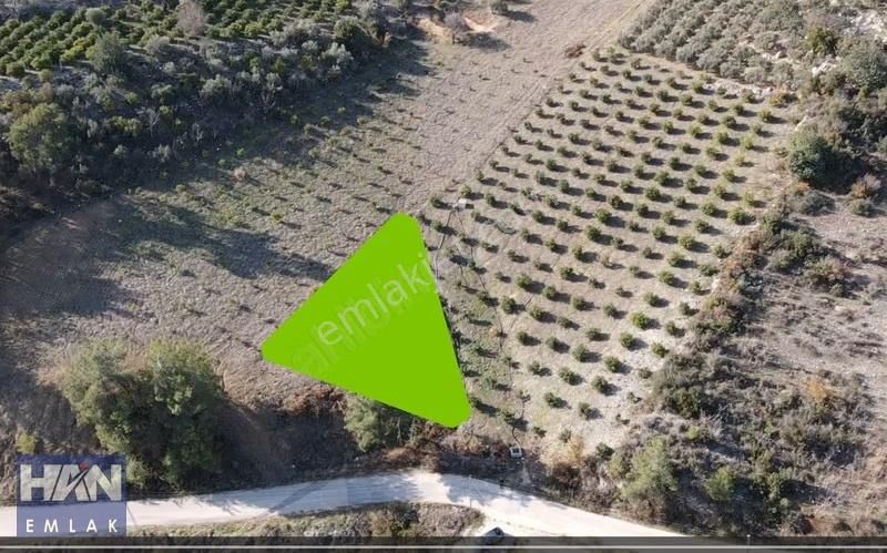 Han Emlak'tan Çevlik'te Köy İçi İmarlı 1065 M2 Satılık Tarla - Görsel 3