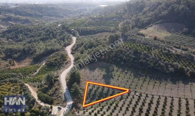 Han Emlak'tan Çevlik'te Köy İçi İmarlı 1065 M2 Satılık Tarla - Görsel 7