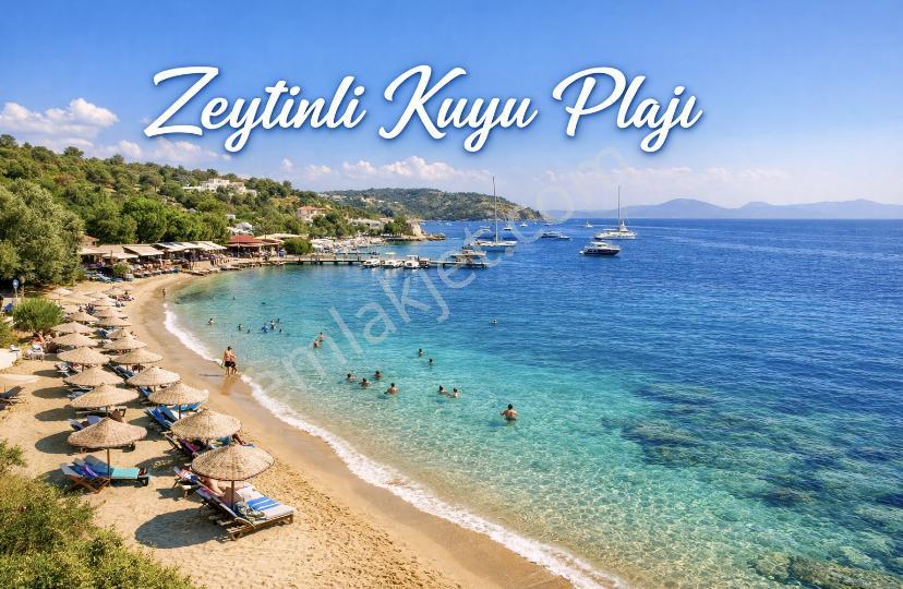 Muğla Milas İasos Marinde Deniz & Havuz Manzaralı Teras 2+1 - Görsel 25