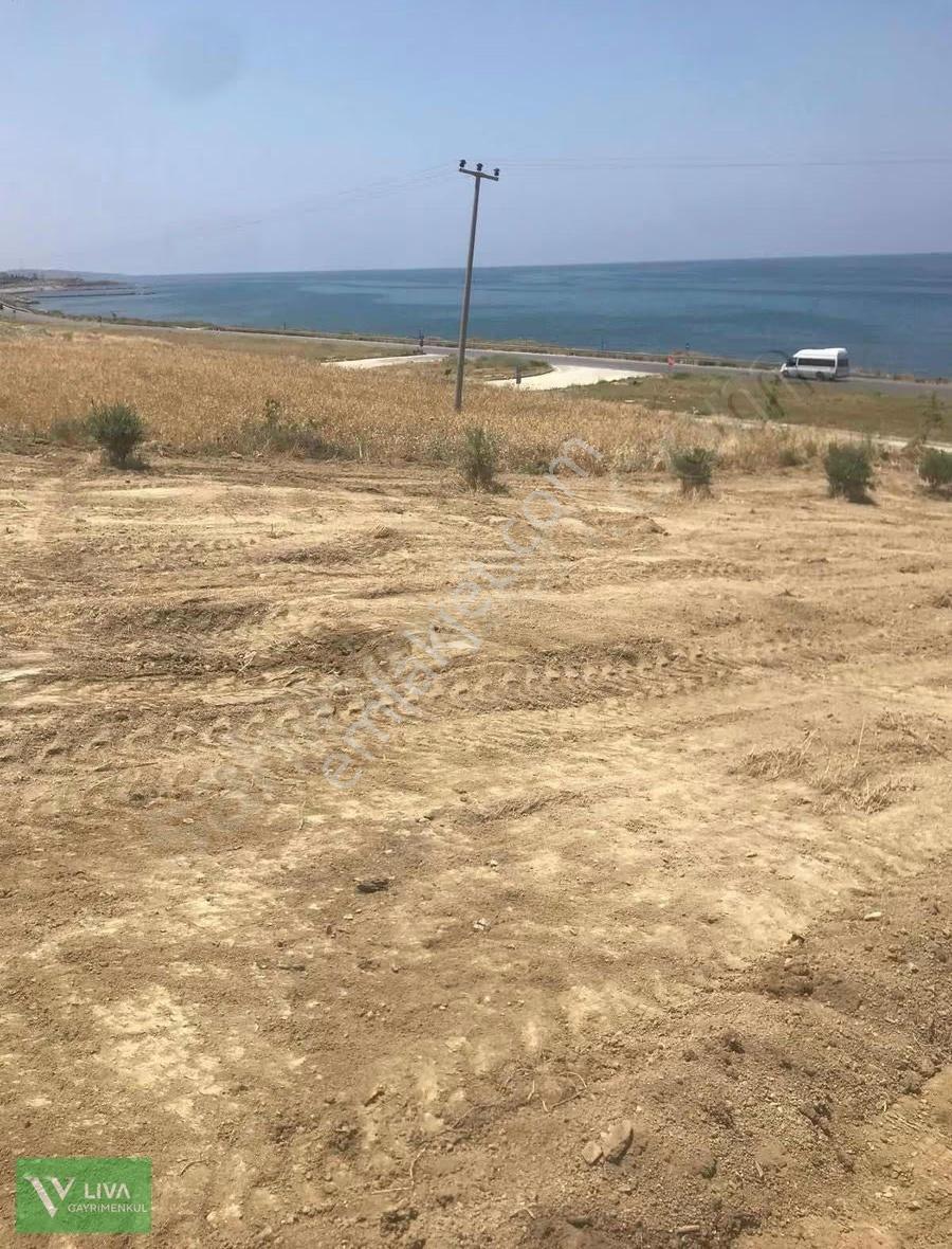 Arsuz Yolu Üzeri Mahal Kafe Yanı Satılık Arsa - Görsel 14