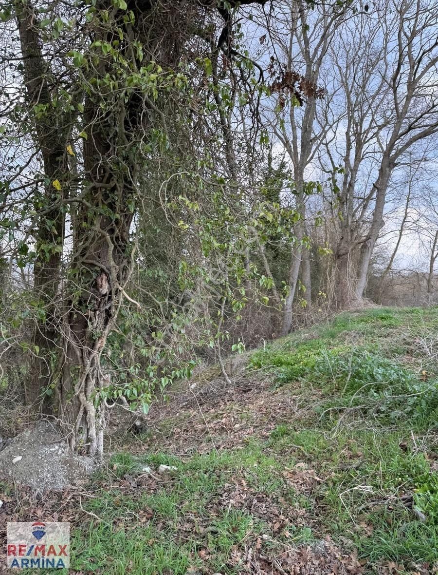 Kandıra - İzmit Ana Yoluna Cephe Yatırımlık Tarla - Görsel 4