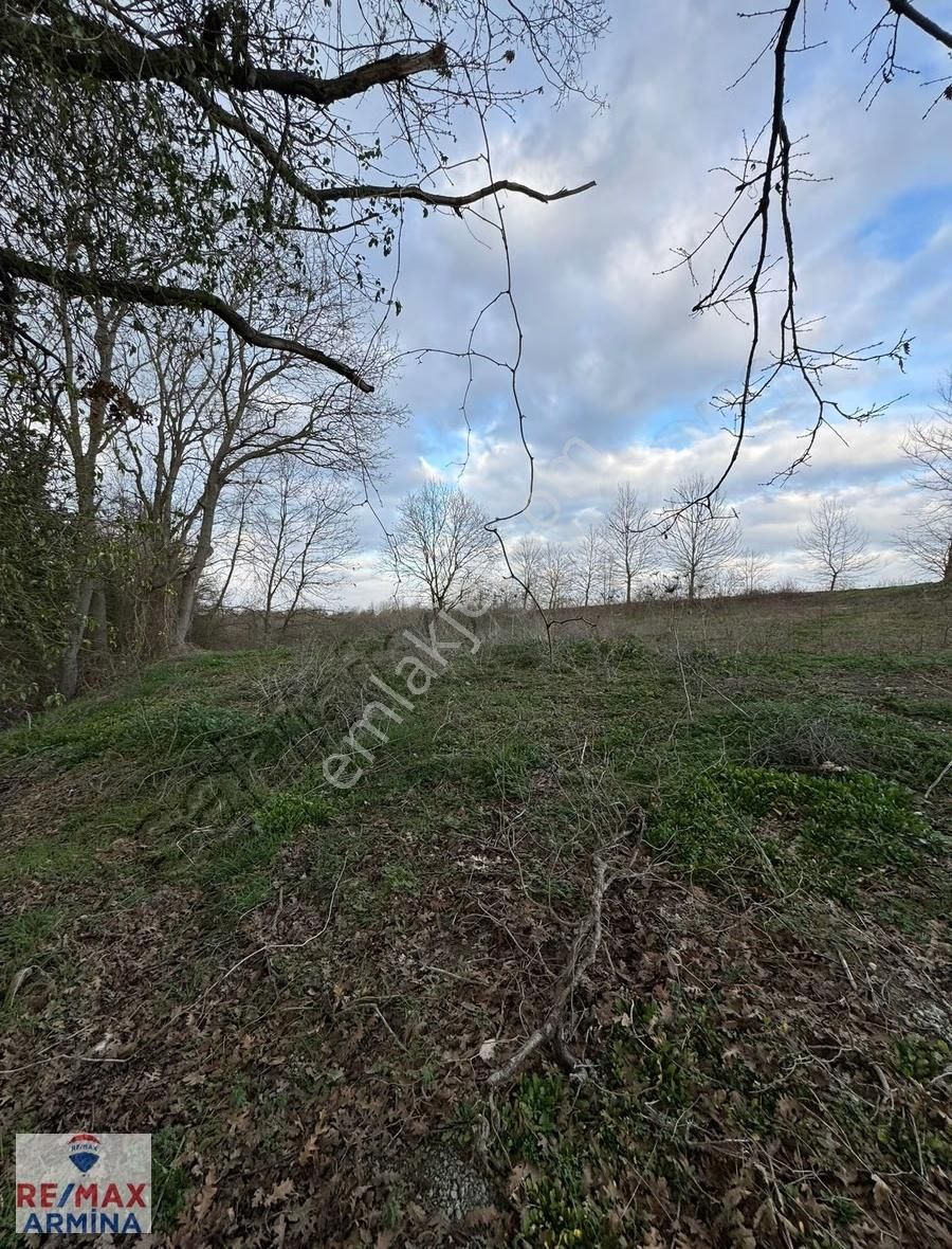 Kandıra - İzmit Ana Yoluna Cephe Yatırımlık Tarla - Görsel 2