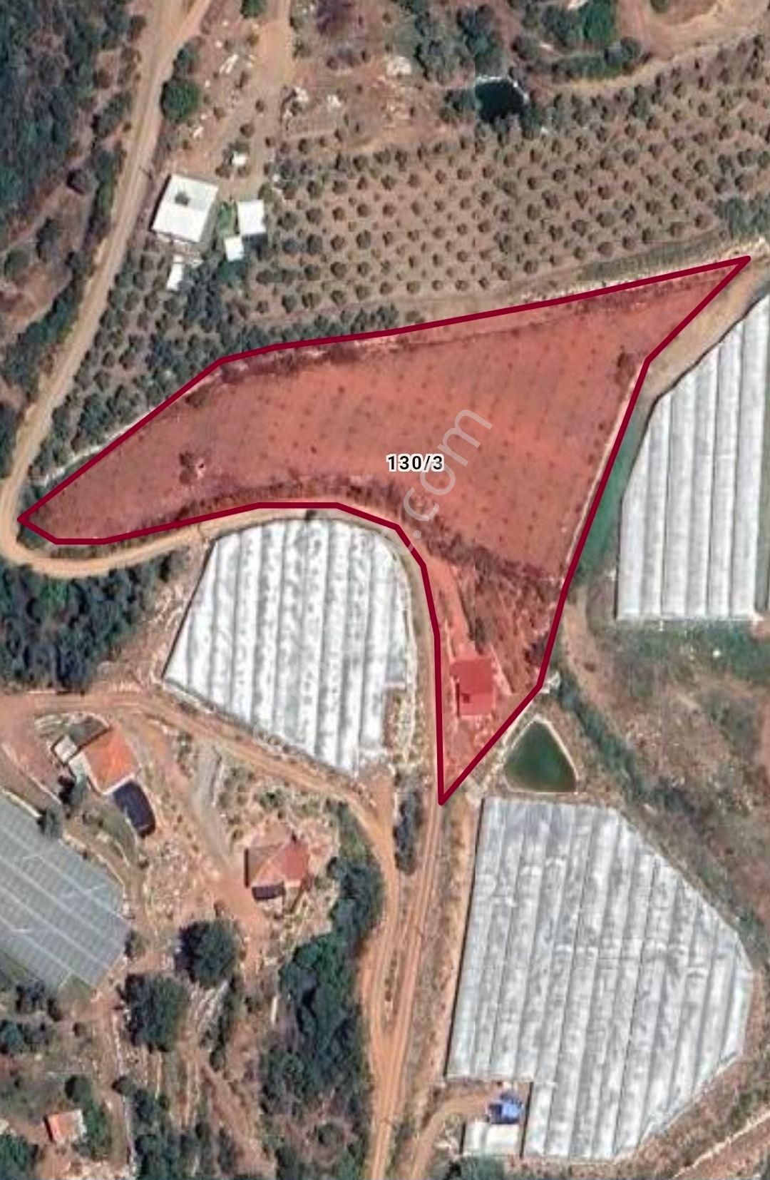 Kumluca Ortaköy Mahallesinde Satılık Bahçeli Ev - Görsel 3