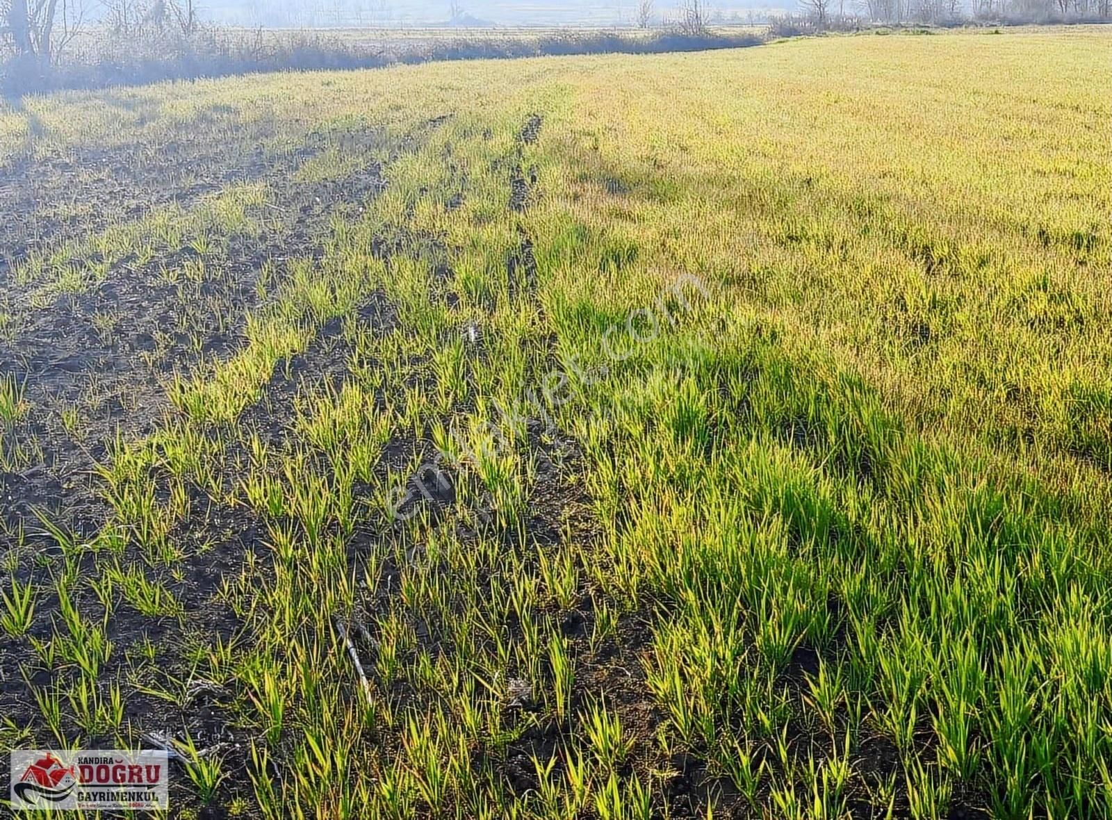 Lokmanlı Köyünde 344m2 Tarla Küçük Parayla Büyük Yatırım - Görsel 4