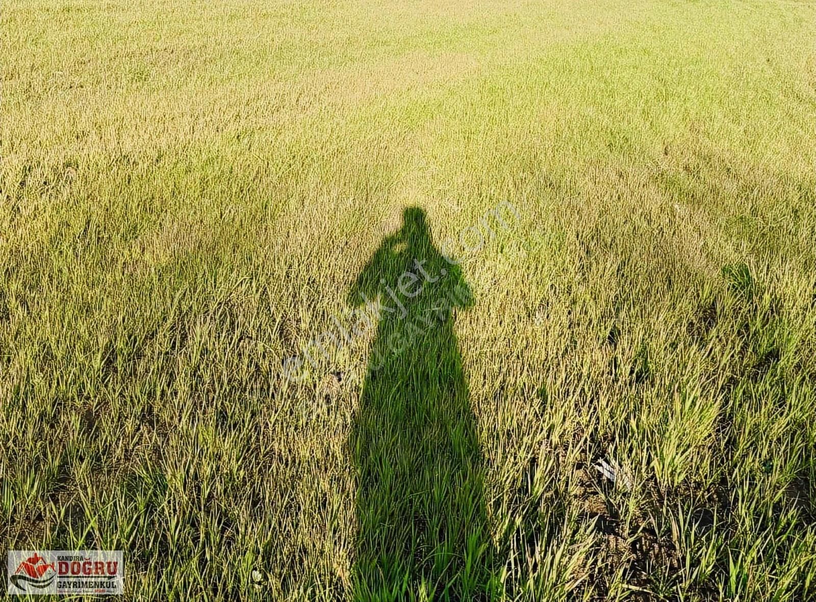 Lokmanlı Köyünde 344m2 Tarla Küçük Parayla Büyük Yatırım