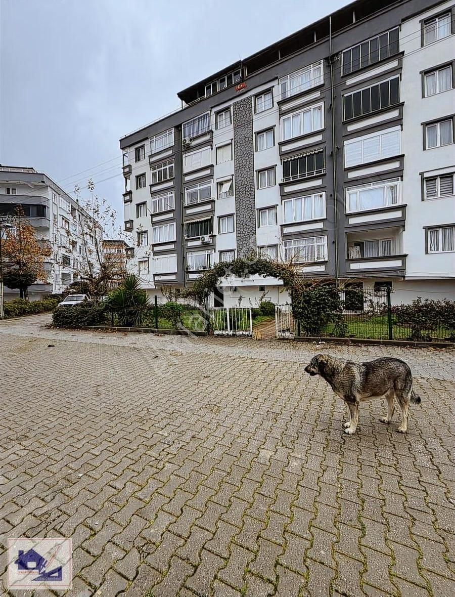 Nesrin Den Çınarcık Ta 4.kat Asansörlü,kombili 2+1 Satılık - Görsel 8