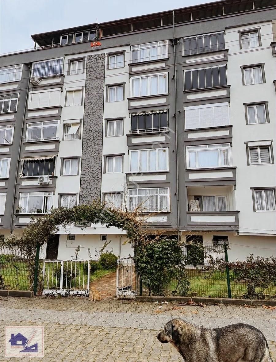 Nesrin Den Çınarcık Ta 4.kat Asansörlü,kombili 2+1 Satılık