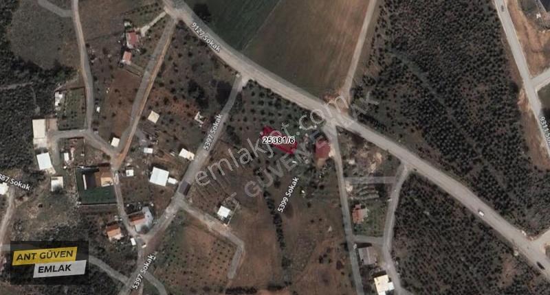 Altınkale Güney Cephe Doğu Cephesi Park Müstakil Parsel - Görsel 4