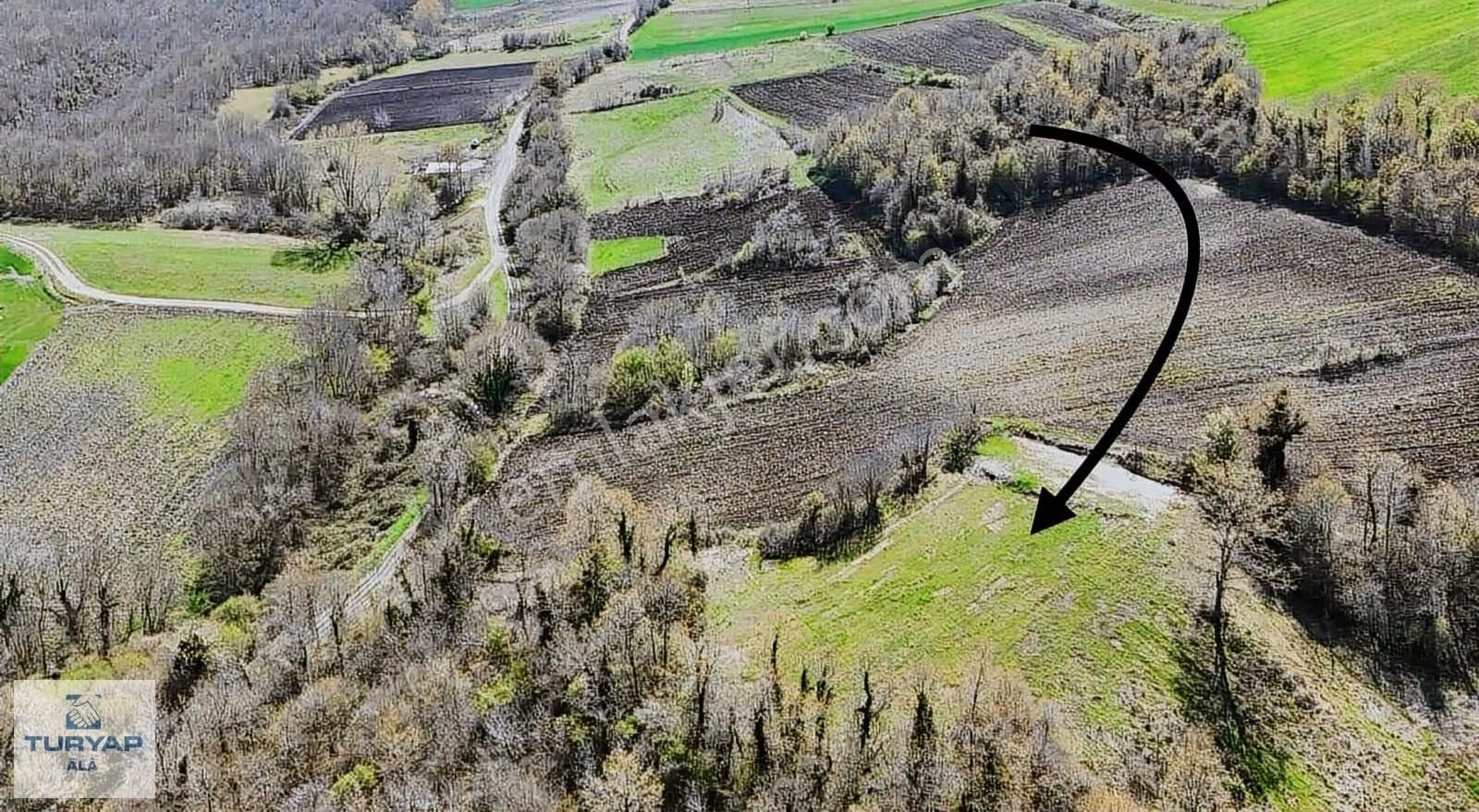 Çatalca Çiftlikköy'de. Satılık Arsa 4500m2 - Görsel 7