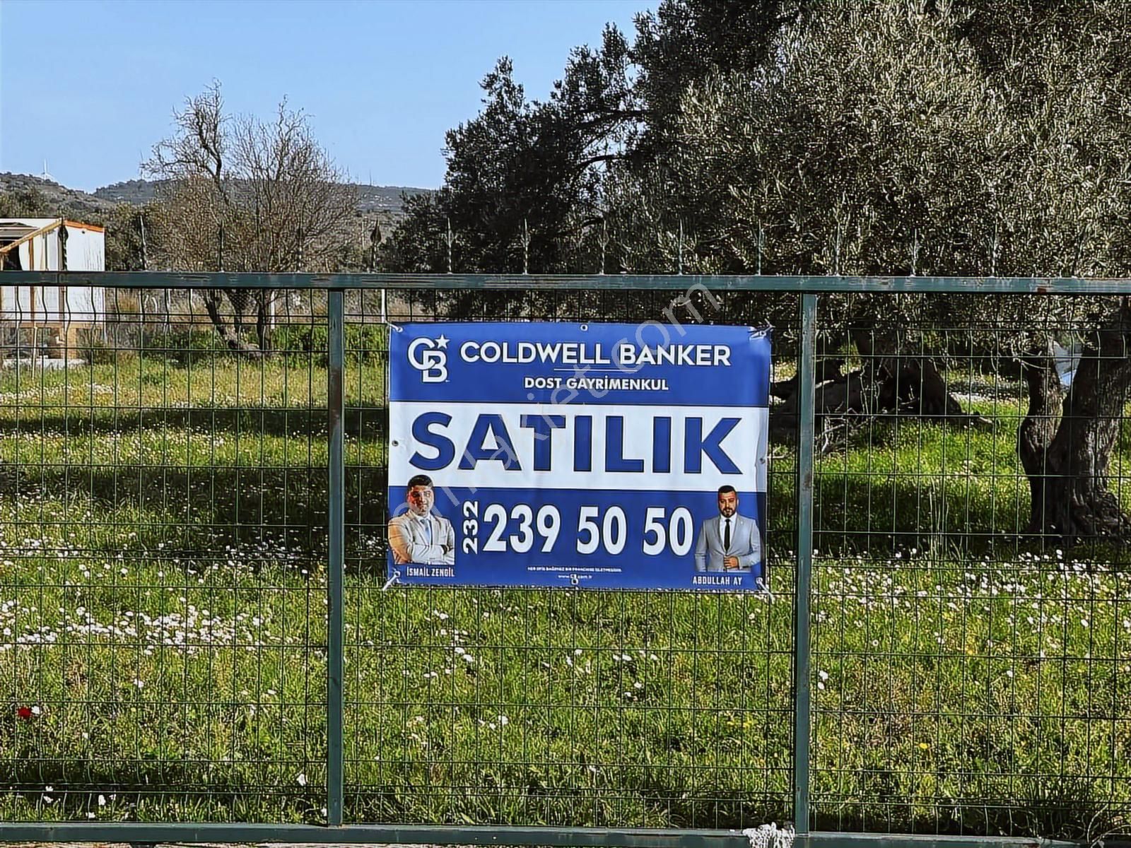 Urla Zeytinelinde Satılık Zeytin Ağaçlı Tarla | Müstakil Parsel - Görsel 5