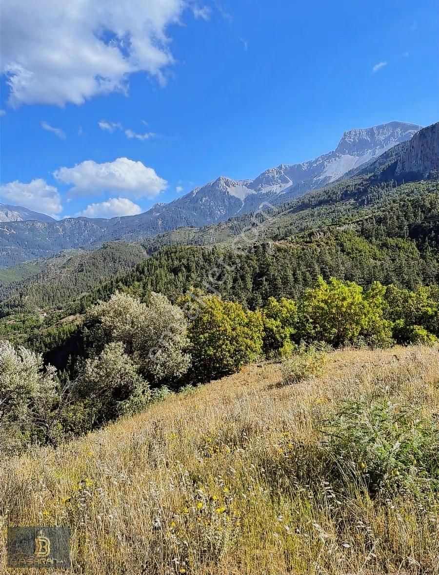 Alanya Gündoğmuş Eskibağ Mah. 4.978m2 Tarla - Görsel 3