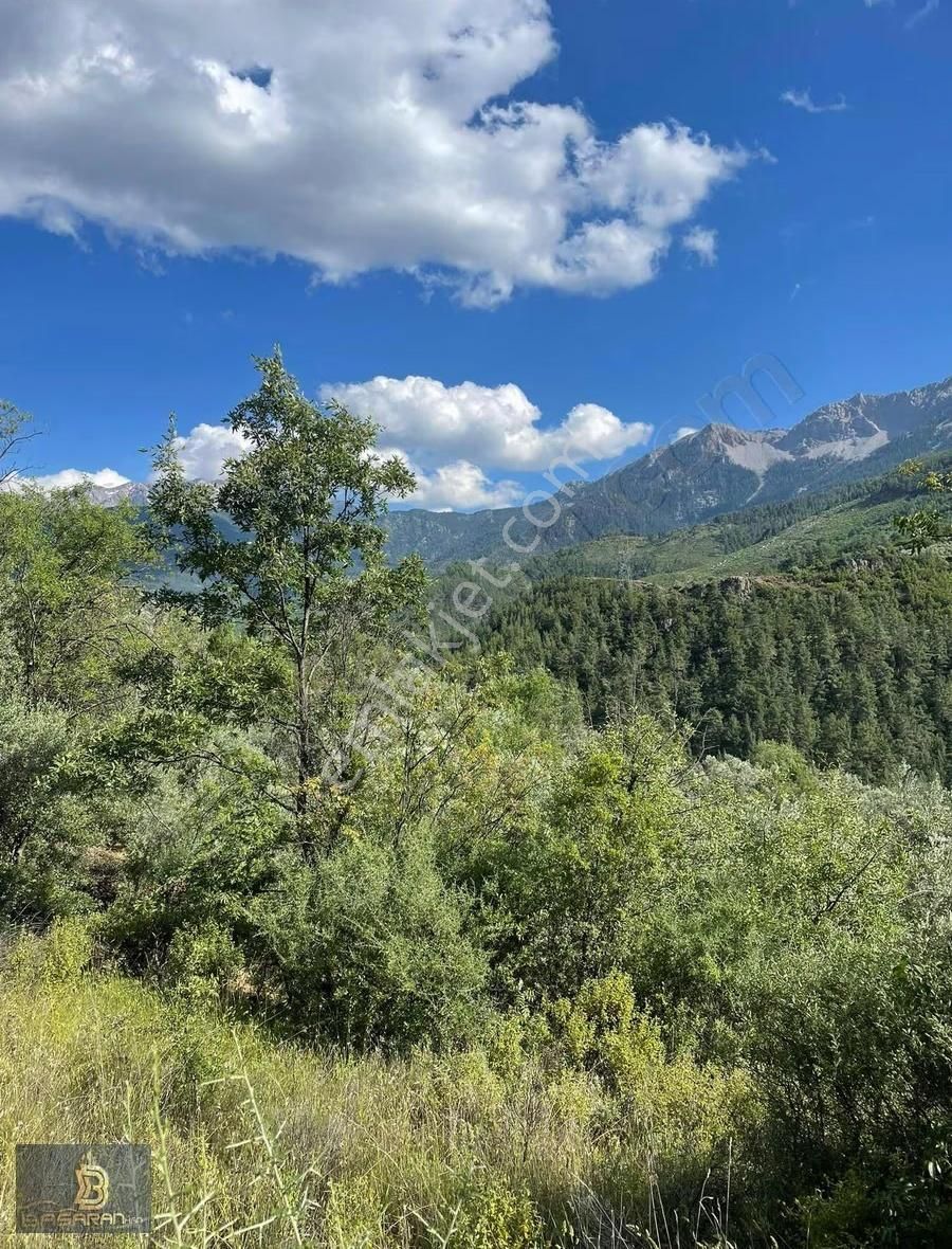 Alanya Gündoğmuş Eskibağ Mah. 4.978m2 Tarla - Görsel 7