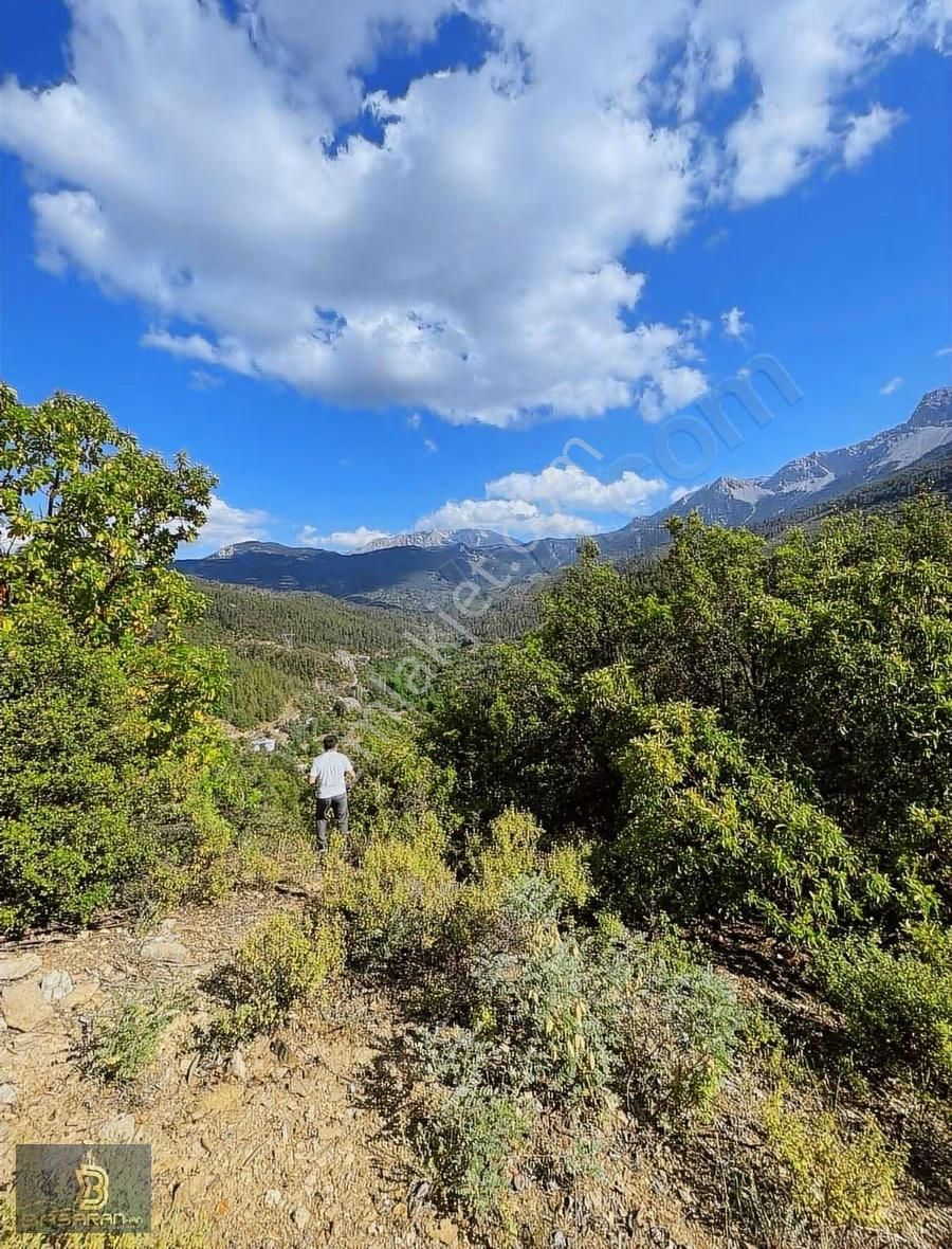 Alanya Gündoğmuş Eskibağ Mah. 4.978m2 Tarla - Görsel 17