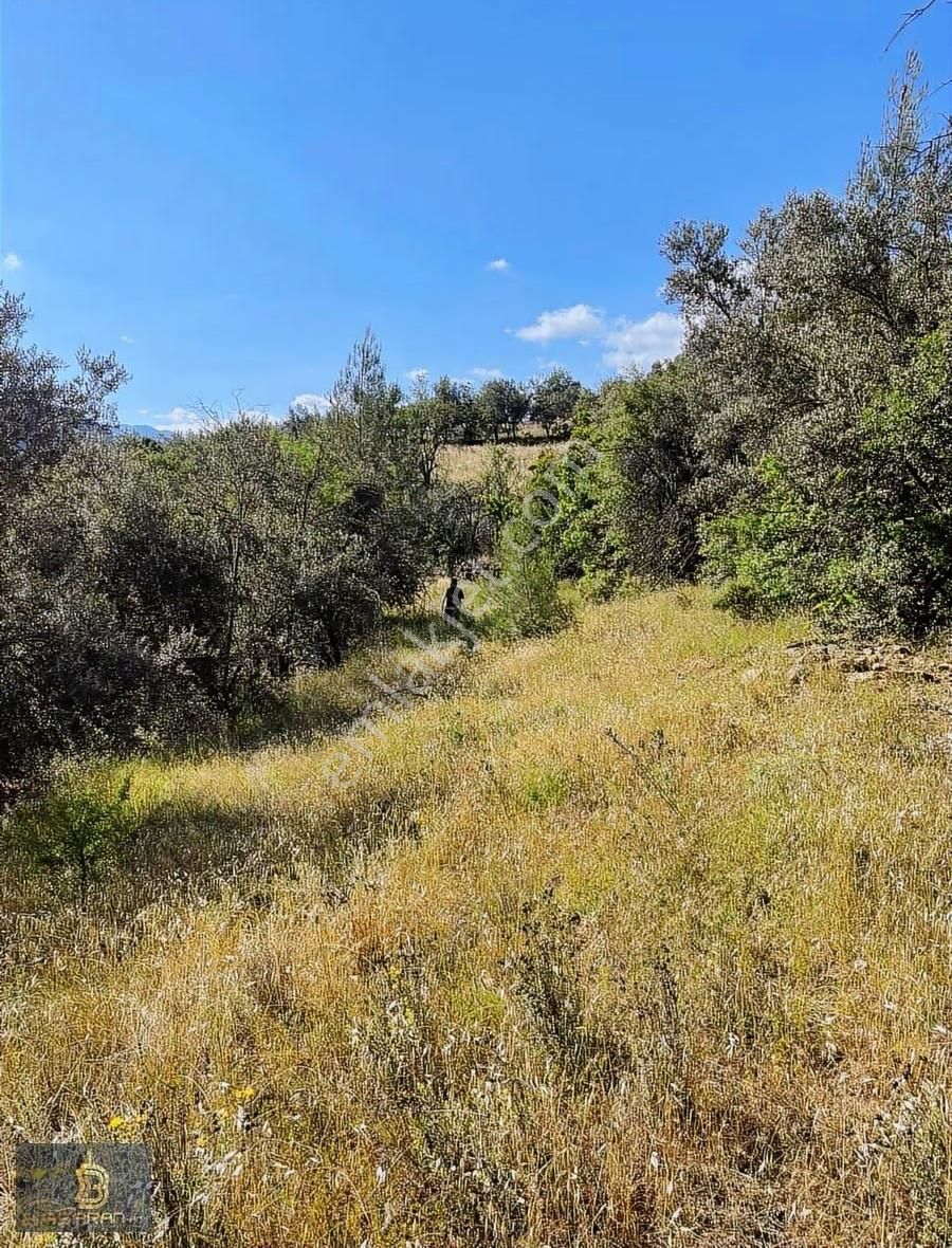 Alanya Gündoğmuş Eskibağ Mah. 4.978m2 Tarla - Görsel 10